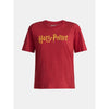 Franela, Sueter, Tshirt Harry Potter