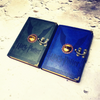 Libretas, Agenda de Coleccion Harry Potter Casas Snitch