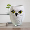 Taza Hedwid 2 Harry potter