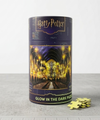 Rompecabeza Hogwarts Harry Potter Brillo en la oscuridad