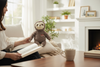 Peluche Perezoso Panama