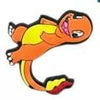 Charms Croc Pokemon
