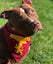 Bandana para perro Harry potter Gryffindor