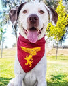 Bandana para perro Harry potter Gryffindor