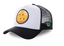 Gorra  Dragon Ball camionero