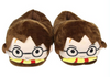 Pantuflas Harry Potter