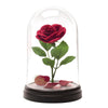 Lampara rosa bella y la bestia
