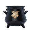 Taza Caldero Harry Potter  3D