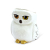 HARRY POTTER - Set de regalo premium 3D mug+3D Keychain+Pin "Harry's suitcase Baúl Búho hedwig