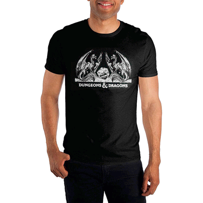 Franela, Tshrit, sueter  Dungeons & Dragons Dado