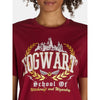 Franela, Tshirt, Sueter Harry Potter Hogwarts School