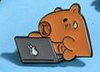 Pin Capibara