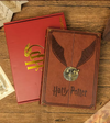 Libreta Harry Potter Quidditch  Snitch