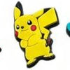 Charms Croc Pokemon