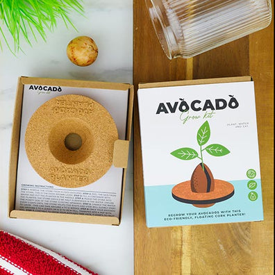 Kit Aguacate, avocado