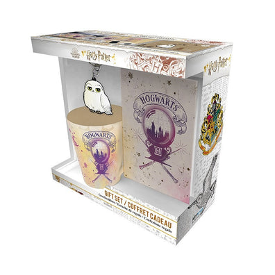 Set de regalo HARRY POTTER - Pck Mug250ml + KeyringPVC + Notebook "Hogwarts" amortentia