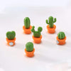 Set magnetico Cactus para nevera