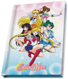 Set de regalo Sailor Moon