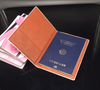 Porta Pasaporte Pantera rosa