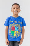 Franela, sueter Harry Potter Hogwarts para niños T-Shirts azul /gris /Rojo