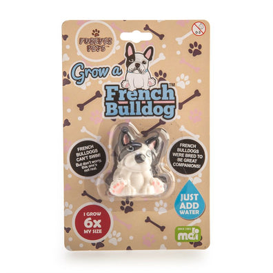 Bulldog frances para crecer