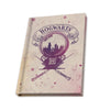 Set de regalo HARRY POTTER - Pck Mug250ml + KeyringPVC + Notebook "Hogwarts" amortentia
