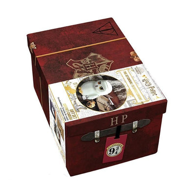 HARRY POTTER - Set de regalo premium 3D mug+3D Keychain+Pin "Harry's suitcase Baúl Búho hedwig